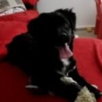 Profile picture of Georgia